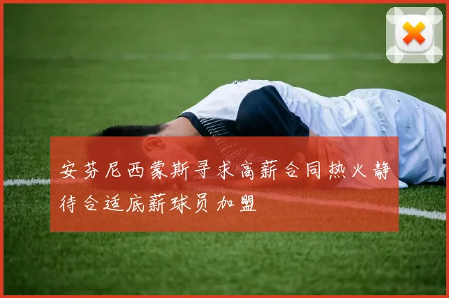 安芬尼西蒙斯寻求高薪合同热火静待合适底薪球员加盟